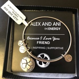 Silver Alex and Ani Friend Bracelet